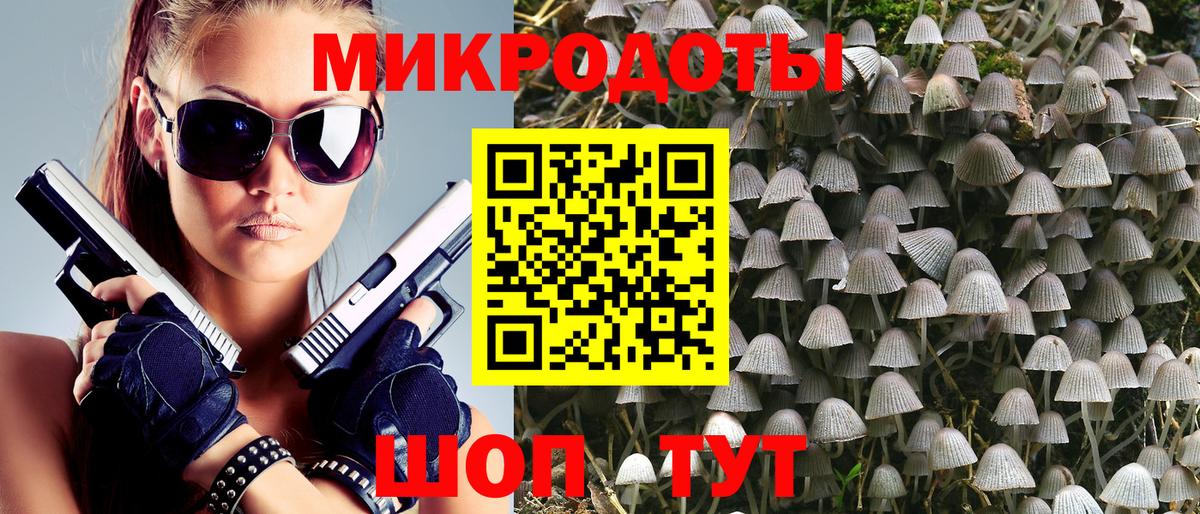 Псилоцибиновые грибы GOLDEN TEACHER Котовск
