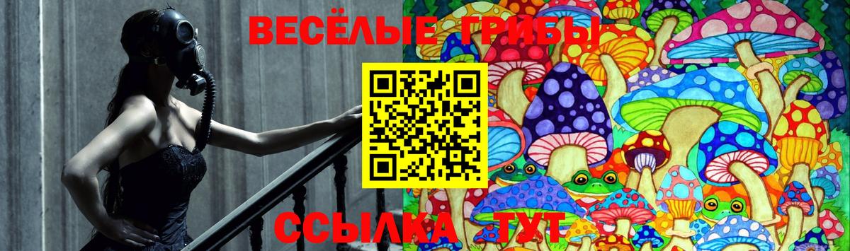 Котовск  Галлюциногенные грибы мухоморы  Вход с VPN 