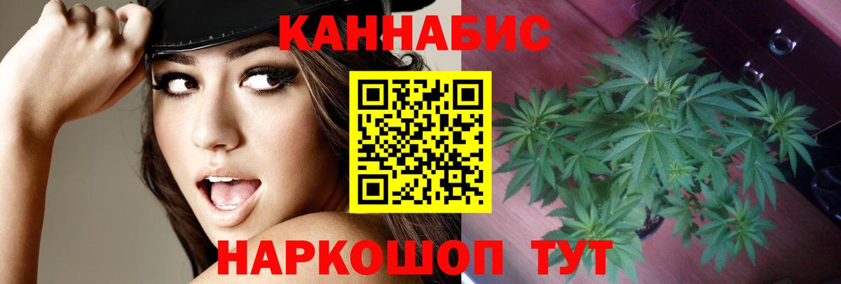 Бошки марихуана VHQ  Вход с VPN  Котовск  МАРИХУАНА конопля  Бошки Шишки план 